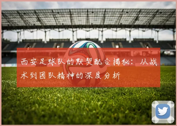 西安足球队的默契配合揭秘：从战术到团队精神的深度分析