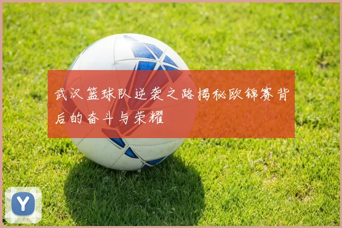 武汉篮球队逆袭之路揭秘欧锦赛背后的奋斗与荣耀