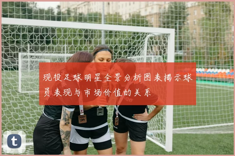 现役足球明星全景分析图表揭示球员表现与市场价值的关系
