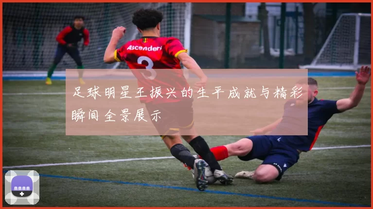 足球明星王振兴的生平成就与精彩瞬间全景展示