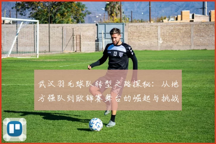 武汉羽毛球队转型之路探秘：从地方强队到欧锦赛舞台的崛起与挑战