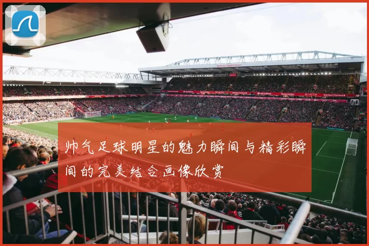 帅气足球明星的魅力瞬间与精彩瞬间的完美结合画像欣赏