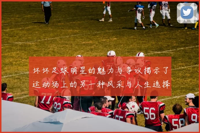 坏坏足球明星的魅力与争议揭示了运动场上的另一种风采与人生选择
