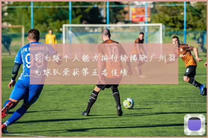 羽毛球个人能力排行榜揭晓广州羽毛球队荣获第五名佳绩