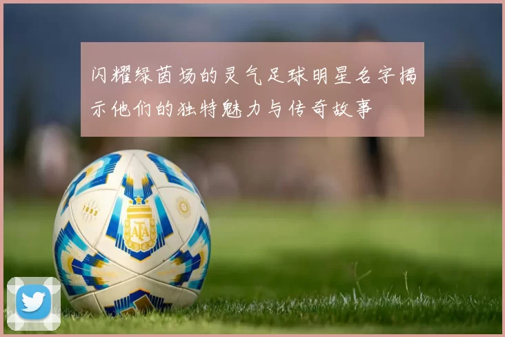 闪耀绿茵场的灵气足球明星名字揭示他们的独特魅力与传奇故事