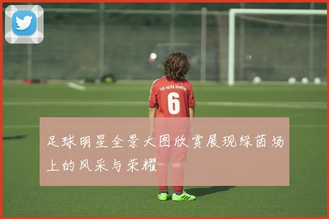 足球明星全景大图欣赏展现绿茵场上的风采与荣耀