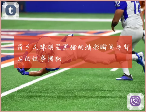 荷兰足球明星黑猪的精彩瞬间与背后的故事揭秘