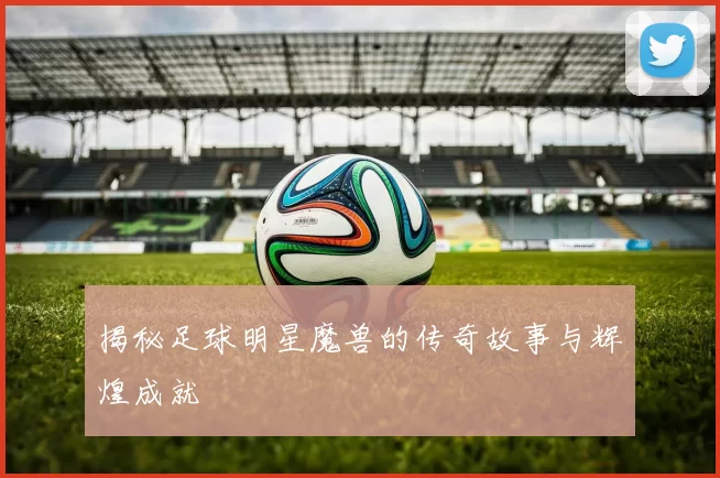 揭秘足球明星魔兽的传奇故事与辉煌成就
